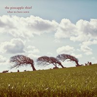 Take Me with You - The Pineapple Thief
