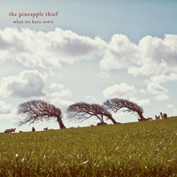 Deep Blue World - The Pineapple Thief