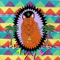Mickey Mouse - Wavves