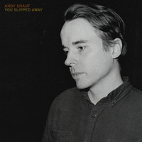 You Slipped Away - Andy Shauf