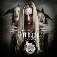 Into The Dissonance - Trillium