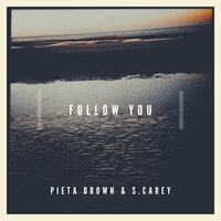 Follow You - Pieta Brown, S. Carey