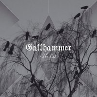 Gallhammer