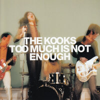 Too Much Of Nothing - The Kooks