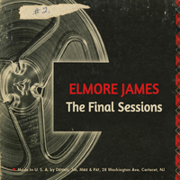 Find My Kind of Woman (Take 2) - Elmore James