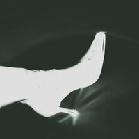 Best Rapper in the Fuckin World - GoldLink