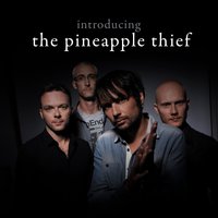 Warm Seas - The Pineapple Thief