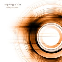 Too Much to Lose - The Pineapple Thief