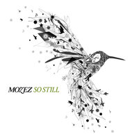 Getting Better - Mozez