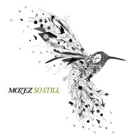 Spinning Top - Mozez