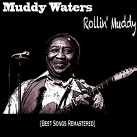 Walkin' Blues - Muddy Waters