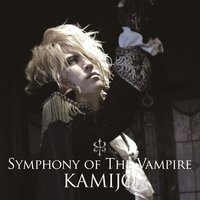 Sacrifice of Allegro - Kamijo