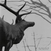 You Were But A Ghost In My Arms - Agalloch