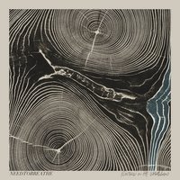 Rise Again - NEEDTOBREATHE