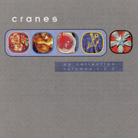 Tangled Up - Cranes
