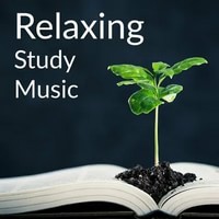 Relaxation Study Music