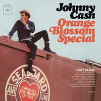 Danny Boy - Johnny Cash