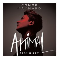 Don't You Worry Child - Conor Maynard