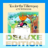 Tea For The Tillerman - Cat Stevens