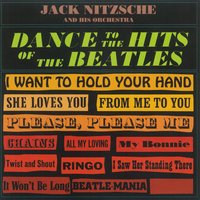 I Want to Hold Your Hand - Jack Nitzsche