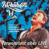 Er is vom Land - Wolfgang Ambros