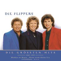 Santo Domingo - Die Flippers