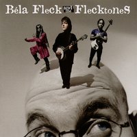 Sojourn of Arjuna - Bela Fleck And The Flecktones