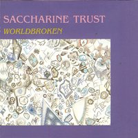 The Testimony - Saccharine Trust