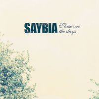 We Almost Made It - Saybia