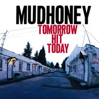 Ghost - Mudhoney
