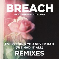 Everything You Never Had (We Had It All) - Breach, Joe Goddard, Andreya Triana