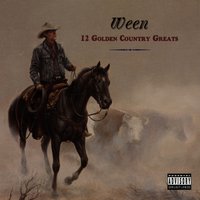 Japanese Cowboy - Ween