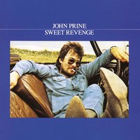 The Accident (Things Could Be Worse) - John Prine