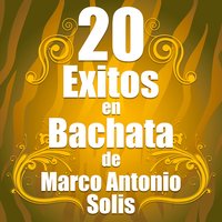 Tus Mentiras, Bachata - Bachata Salvaje