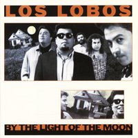 My Baby's Gone - Los Lobos