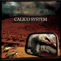 Calico System