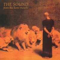The Fire - The Sound