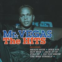 You Sure (Hands Up) - Mr. Vegas