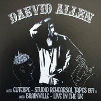 Have You Seen My Friend - Daevid Allen, Euterpe