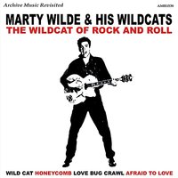 Marty Wilde & His Wildcats