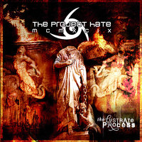 The Locust Principles - The Project Hate MCMXCIX