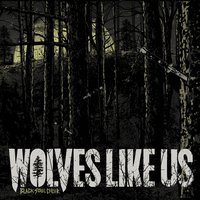 Your Word Is Law - Wolves Like Us