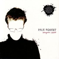 Anonymous caesar - Pale Forest