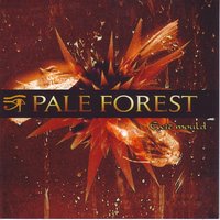 Exit mould - Pale Forest