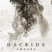 Strength - Hacride