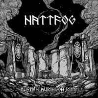 Reaching to the Stars - Nattfog