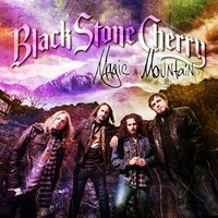 Never Surrender - Black Stone Cherry