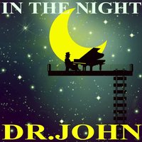 Scrubbin' (Wash Mama Wash) - Dr. John