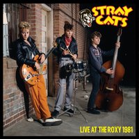 Jeannie Jeannie Jeannie - Stray Cats