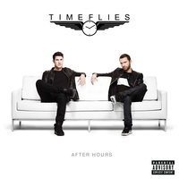 All We Got Is Time - Timeflies